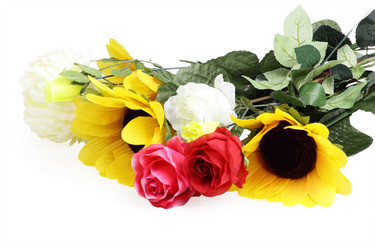 Similar image 536373