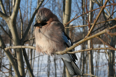 Similar image 536394