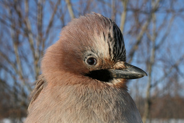 Similar image 536398