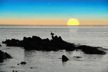 Similar image 536456