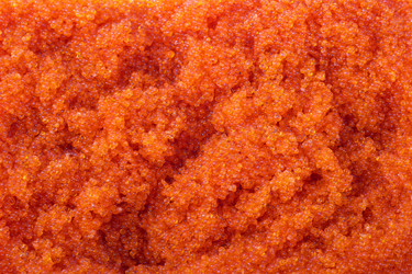 Similar image 536505