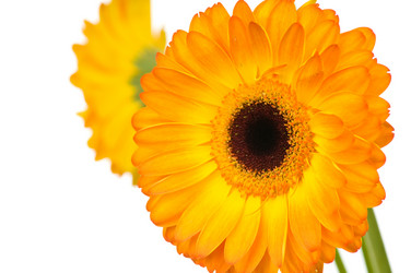 Similar image 536507