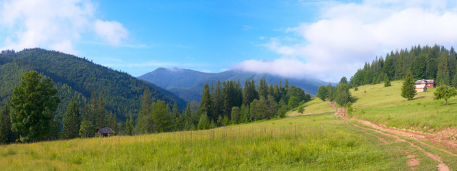 Similar image 536559