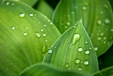 Similar image 536644