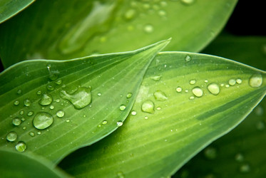 Similar image 536648