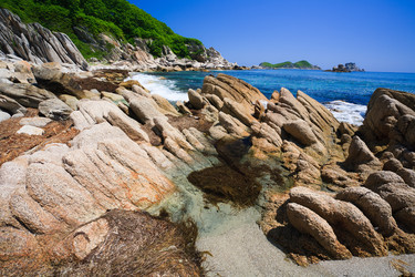 Similar image 536659