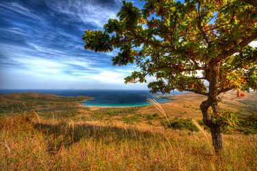 Similar image 536662