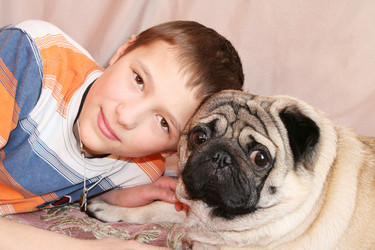 Similar image 536663