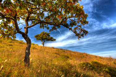 Similar image 536666