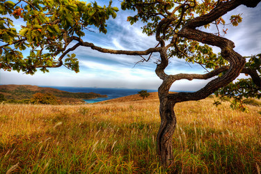 Similar image 536667