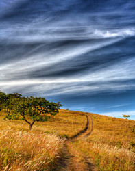 Similar image 536668