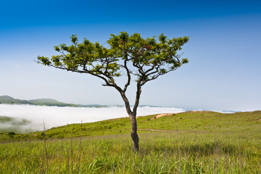 Similar image 536674