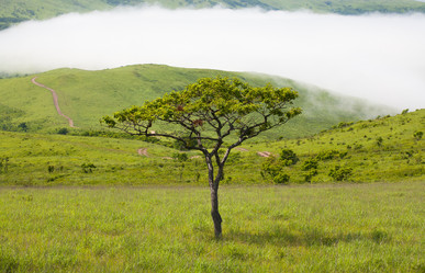 Similar image 536675