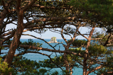 Similar image 536676