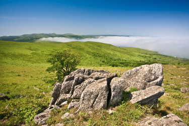 Similar image 536679