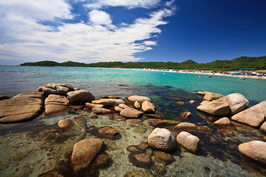 Similar image 536681