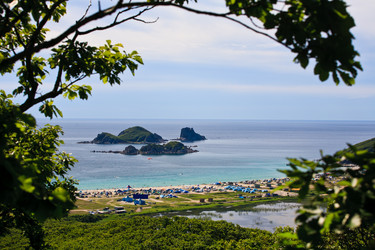 Similar image 536686