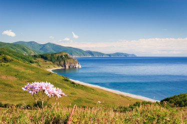 Similar image 536688