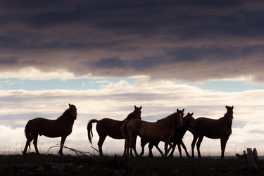 Similar image 536724