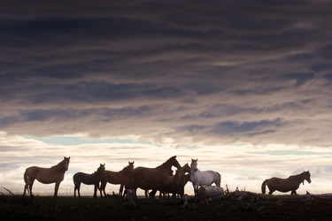 Similar image 536725