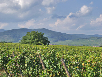 Similar image 536803