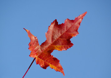 Similar image 536969