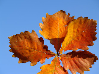 Similar image 536973