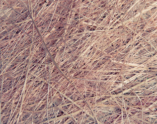 Similar image 536975