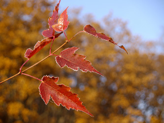 Similar image 536976