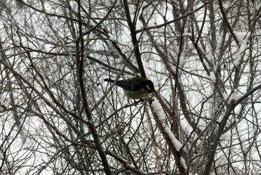 Similar image 536993