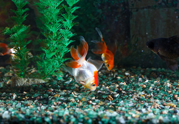 Similar image 536995