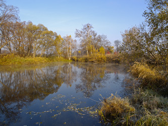 Similar image 536998