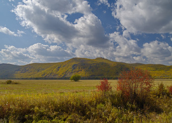 Similar image 537029