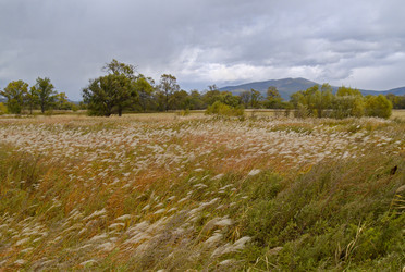 Similar image 537057