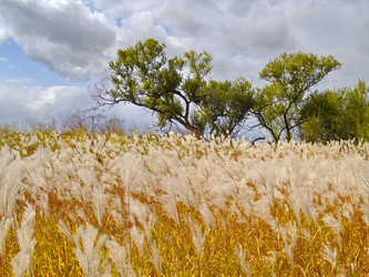 Similar image 537060