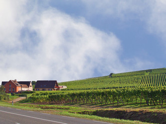 Similar image 537085