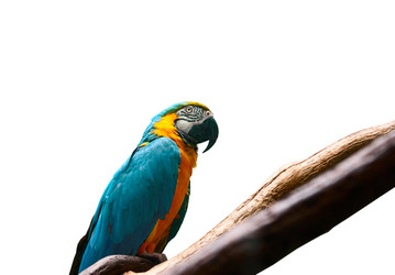 Similar image 537112