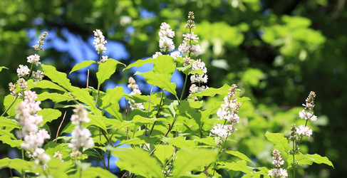 Similar image 537135