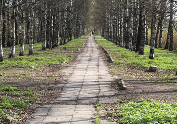 Similar image 537138