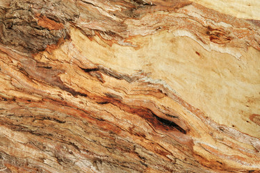 Similar image 537139