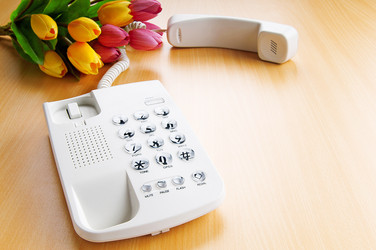 Similar image 537197