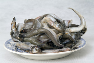 Similar image 537261