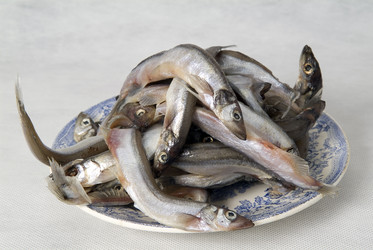 Similar image 537262