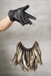 Similar image 537271