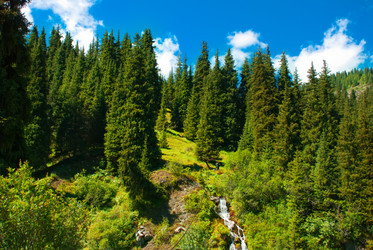 Similar image 537280