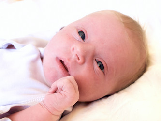 Similar image 537289