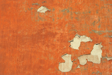 Similar image 537328