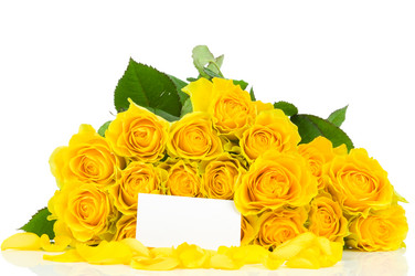 Similar image 537418