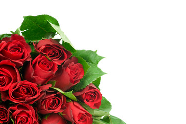 Similar image 537425