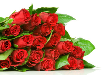 Similar image 537426